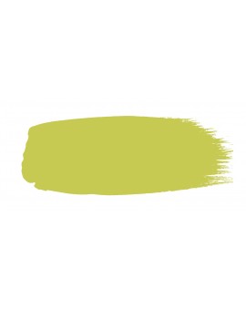 peinture little greene n°70 pale lime
